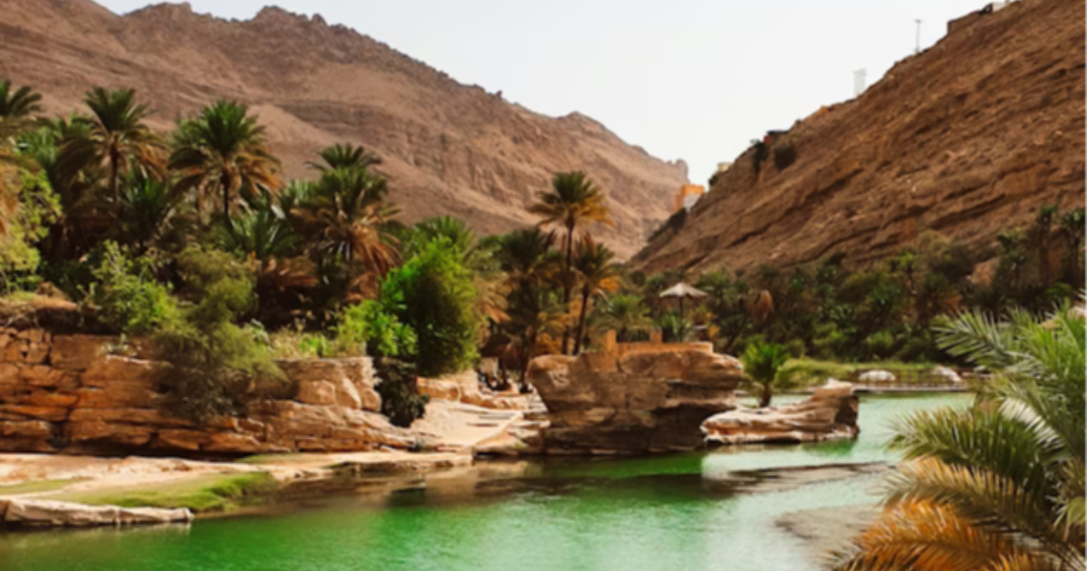 Oasis