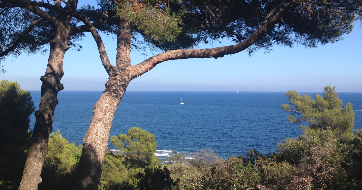 Le Masque de la Vérité et le Cynisme transmuté