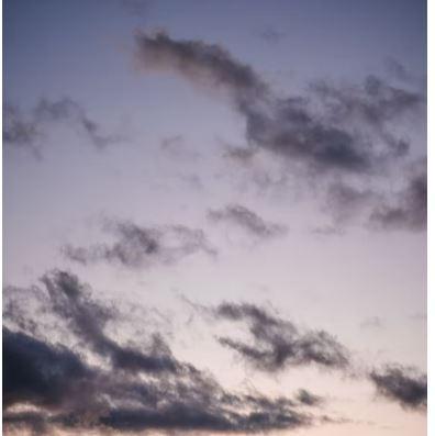 Écrire un texte avec les mots suivants :Ange, bécoter, cassis, disque, éliminer, fantôme, générique, hectare.