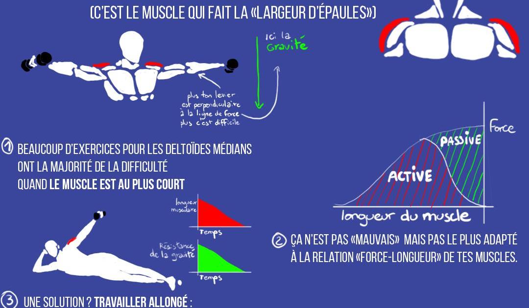 Travaille efficacement les deltoïdes médians