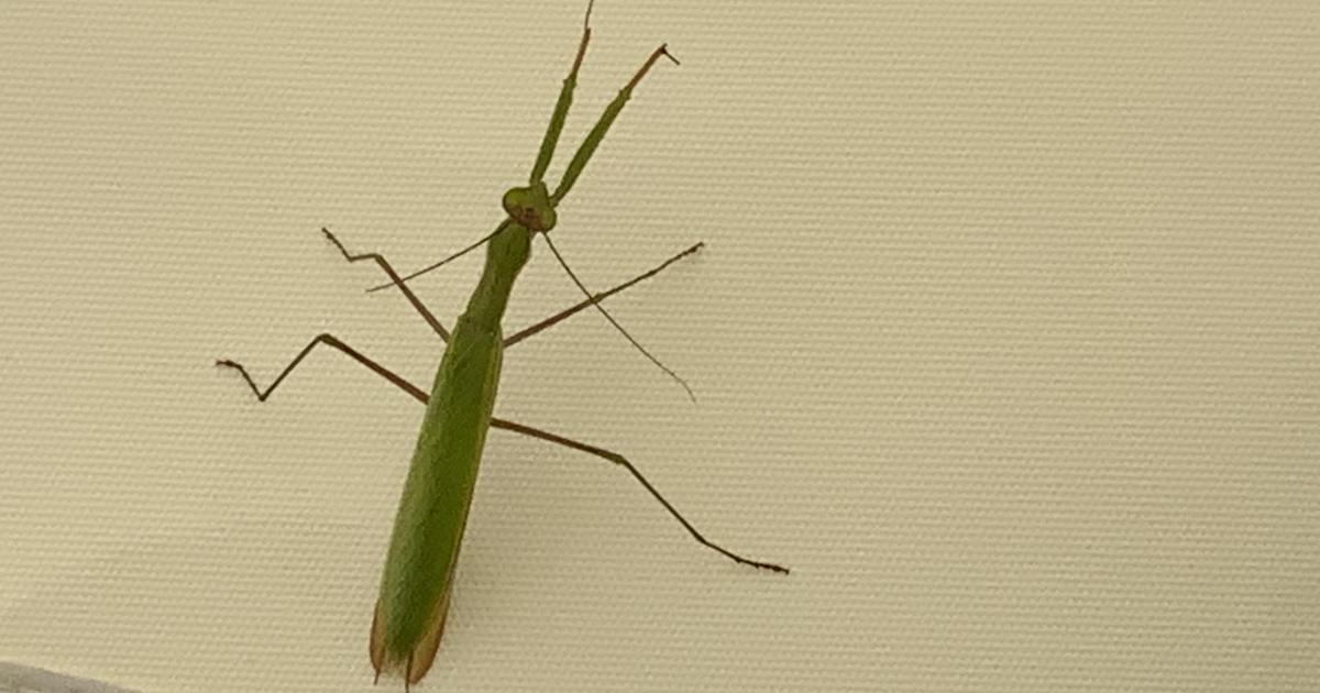 Le jardin du 4 Septembre