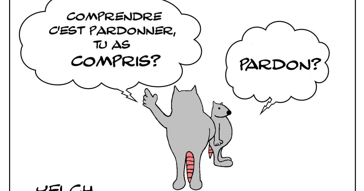 comprendre c'est pardonner et peut-on pardonner sans comprendre?