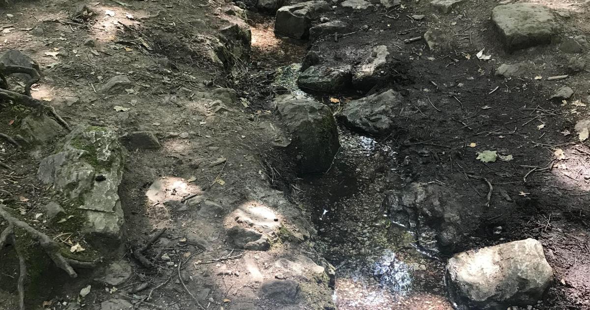 Le jour où j'ai appris à voir- Introduction