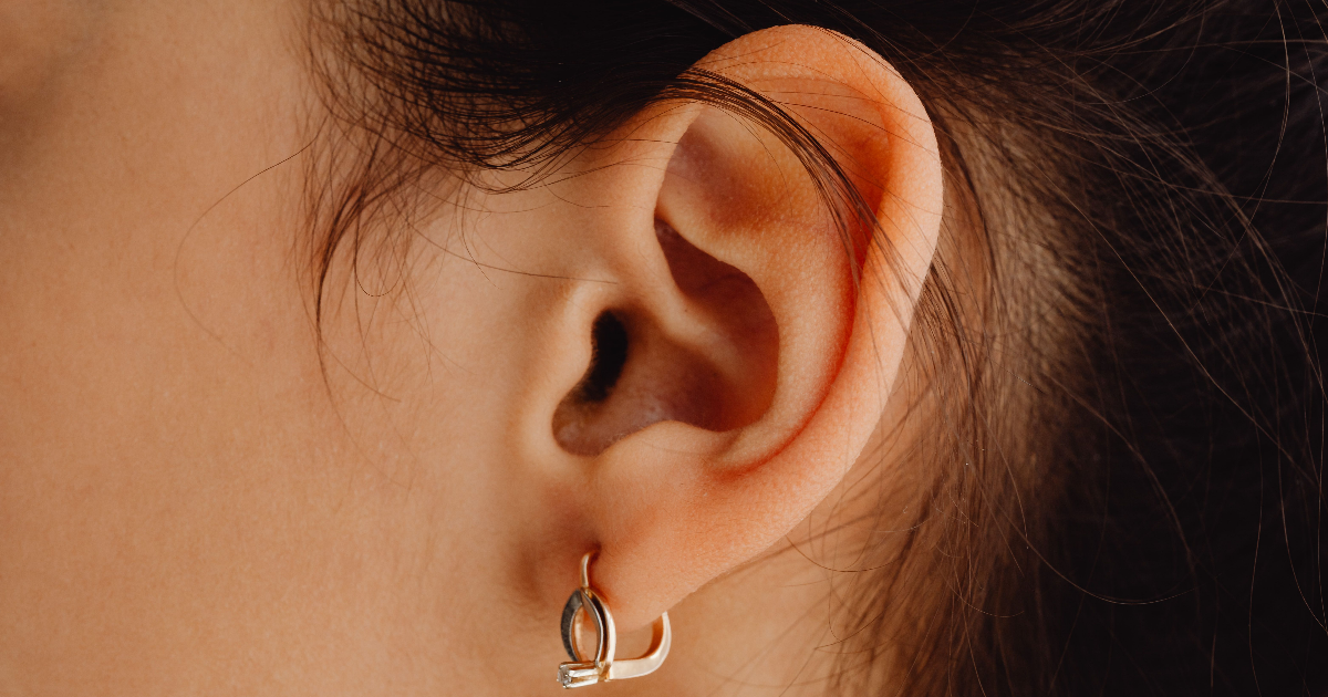 Lobe