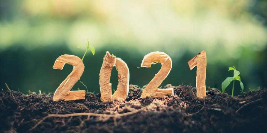 Gracieux horoscope du nouvel an 2021