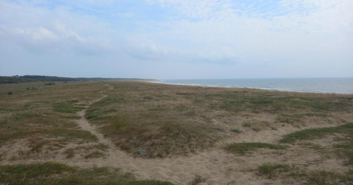 Chapitre 6- Qui est Harry ?