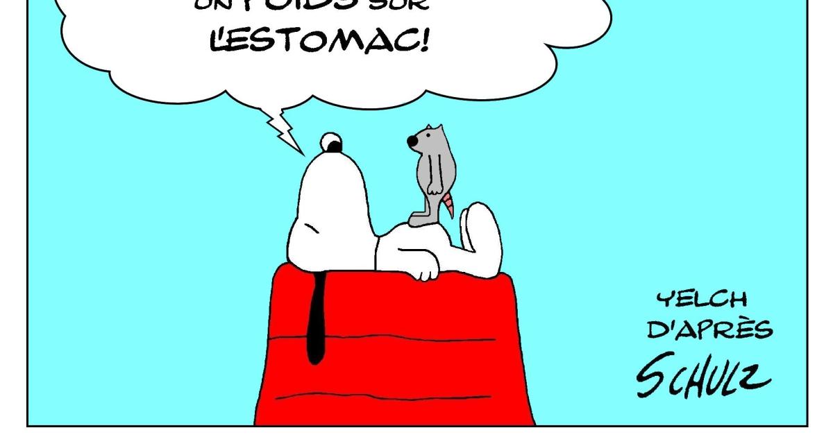 si Snoopy rencontrait les rats...