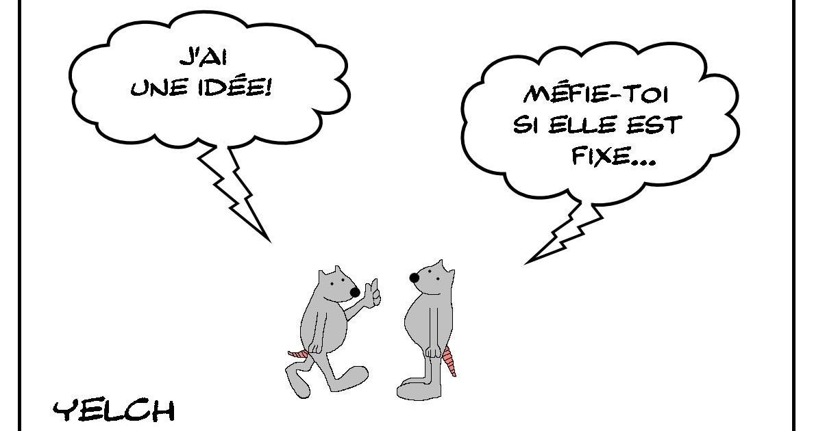 Idée non fixe