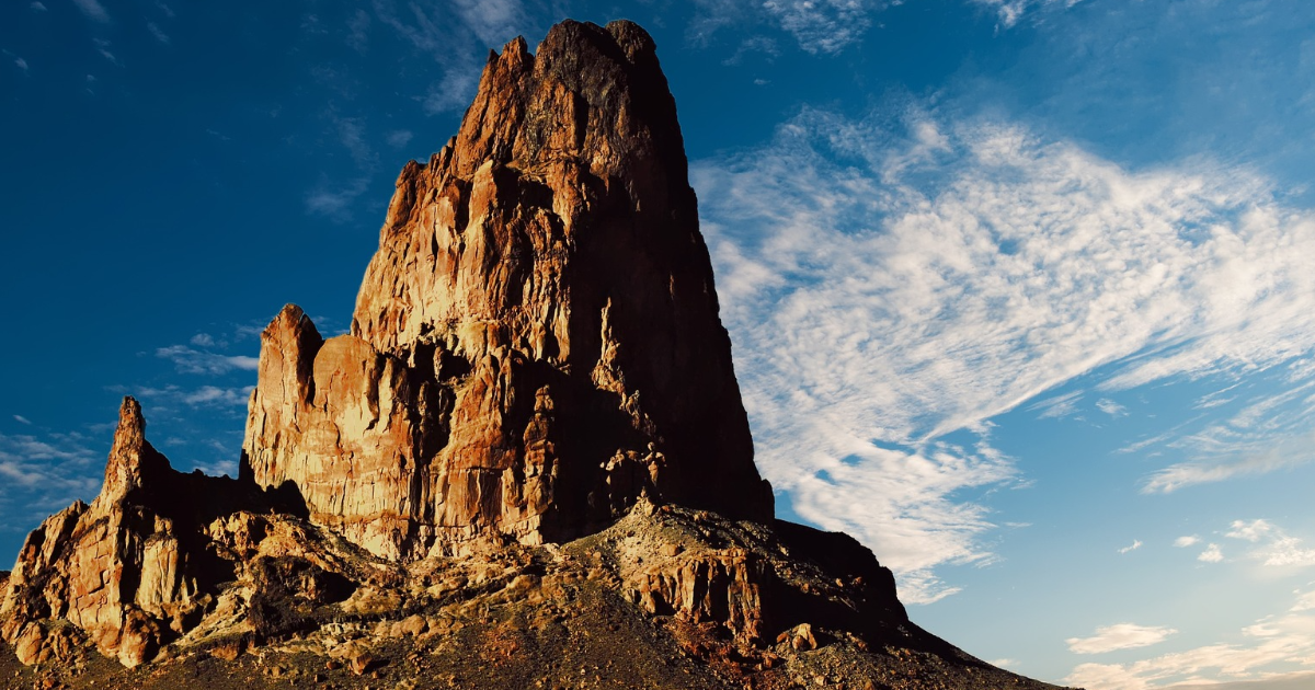 Le palmier de la fécondité