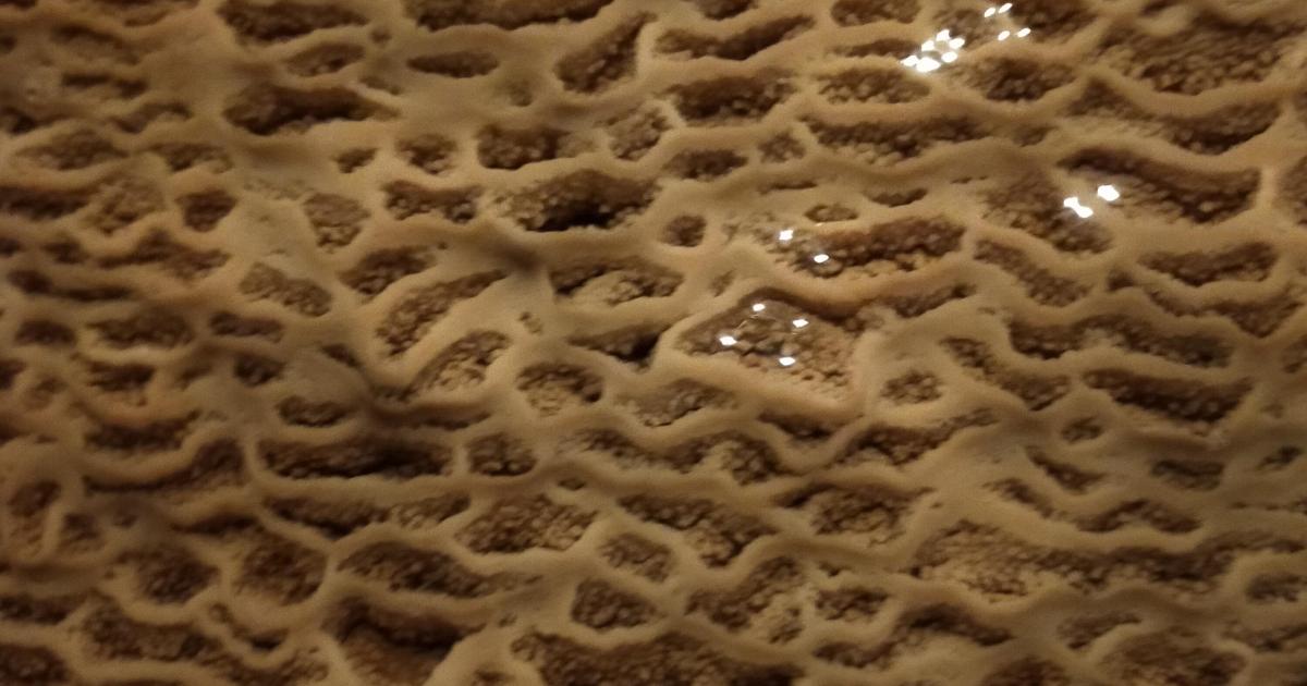 Les choses de Beauté sont de joyaux étranges
