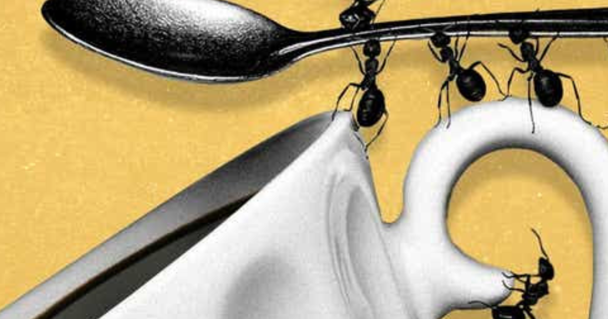 INTERFERENCES, PARASITES