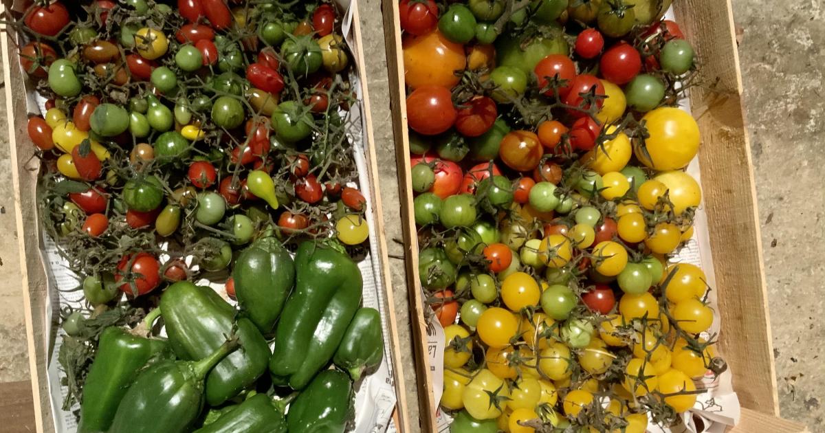 Le jardin du 23 Novembre