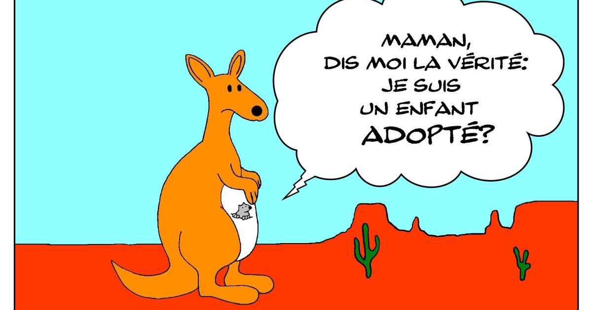 Raton adopté