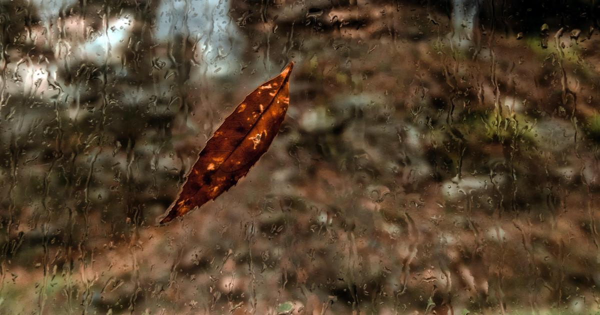 Bucolique (23/04/2020)