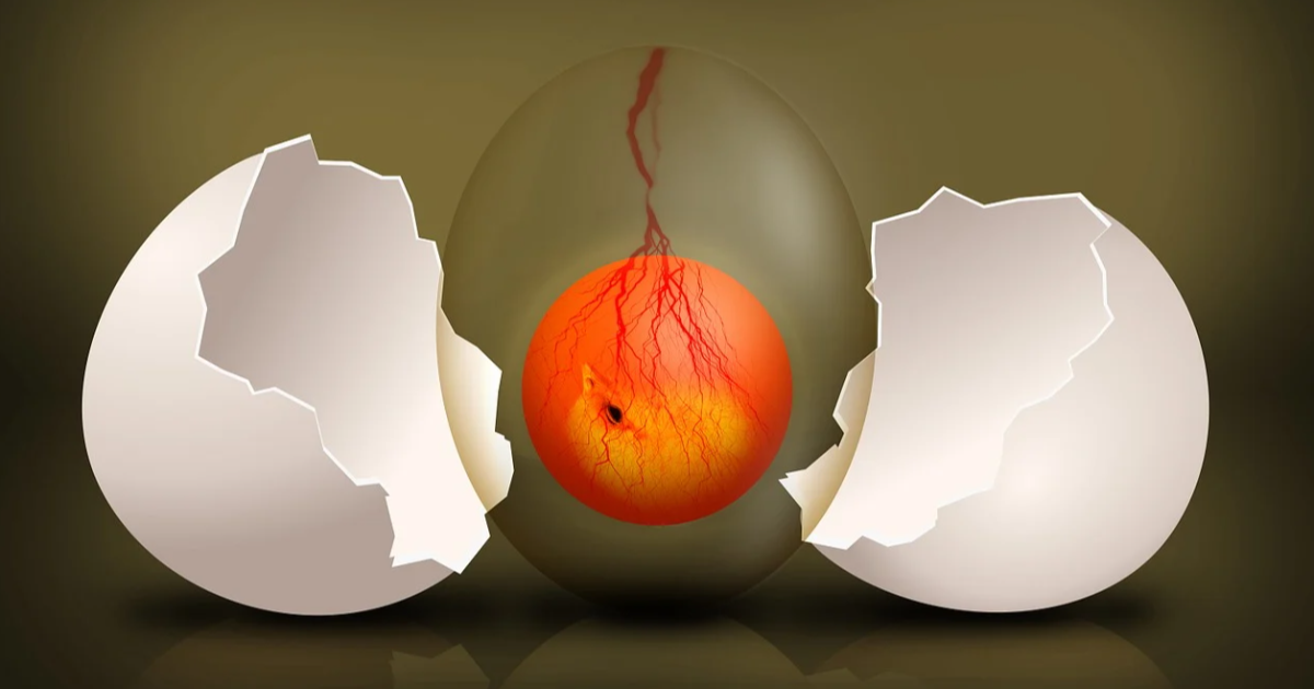 HOMMAGE  à  COCTEAU