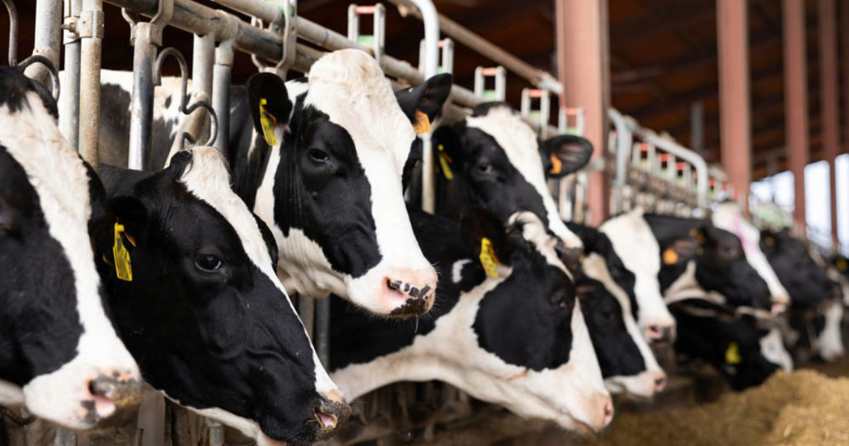Pourquoi l'agriculture française ne fonctionne plus?