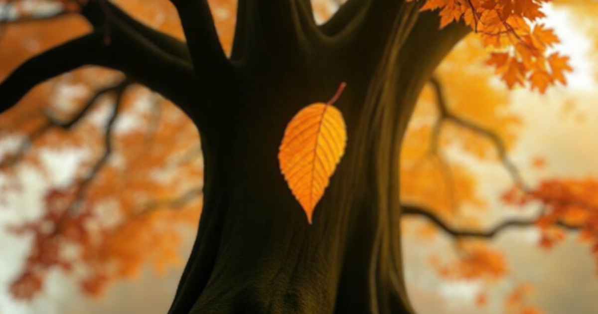 Ce qui ne nous appartient pas