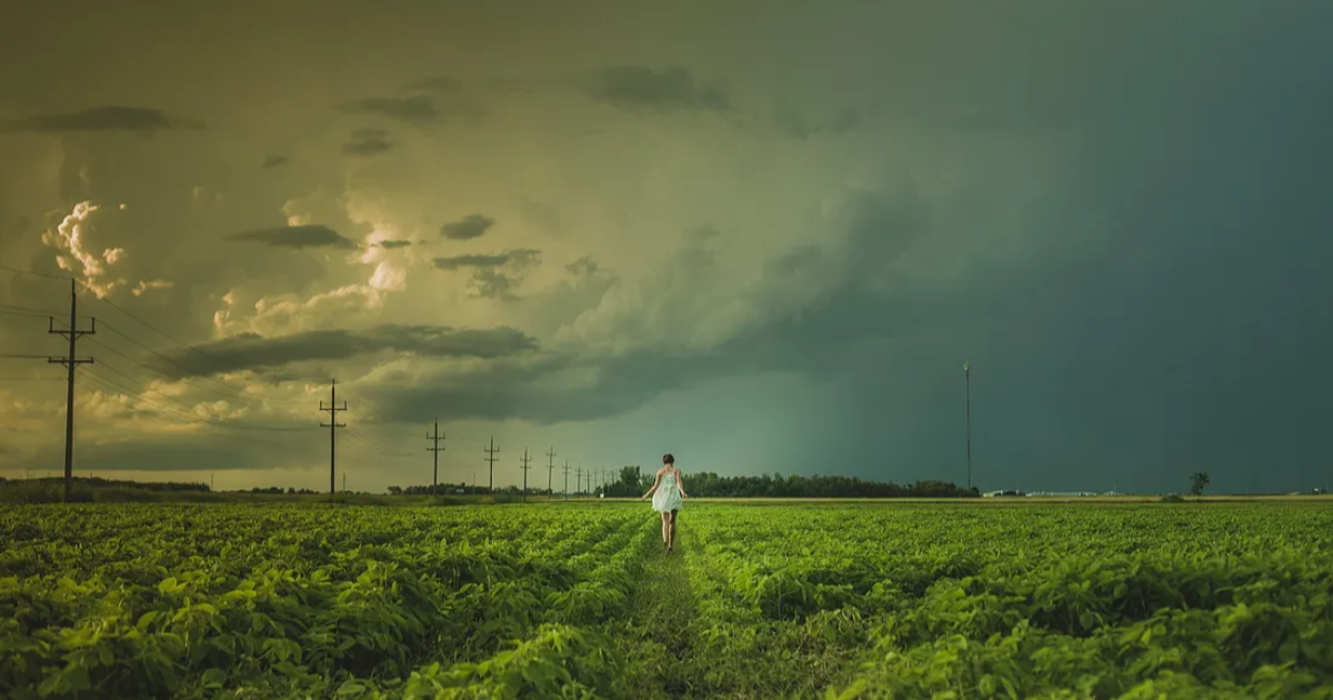 10 Years Is a Period Long Enough to Make Me Homesick