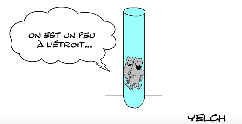 fécondation in vitro