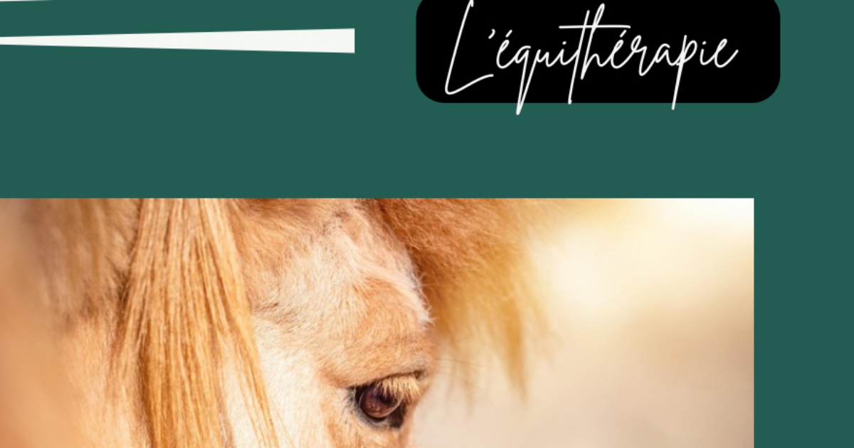 L’équitéraphie