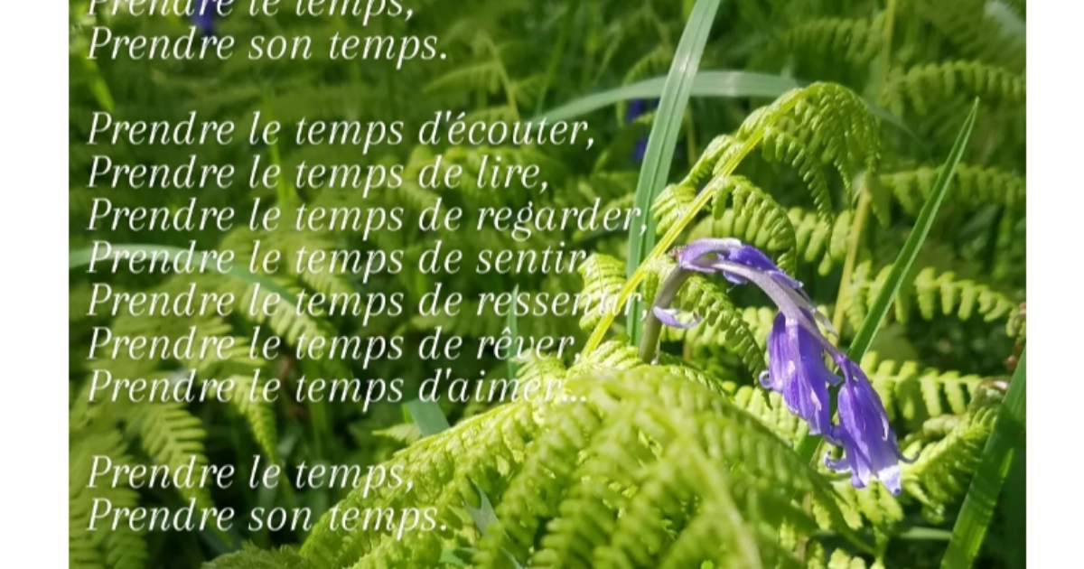 (Sans titre)