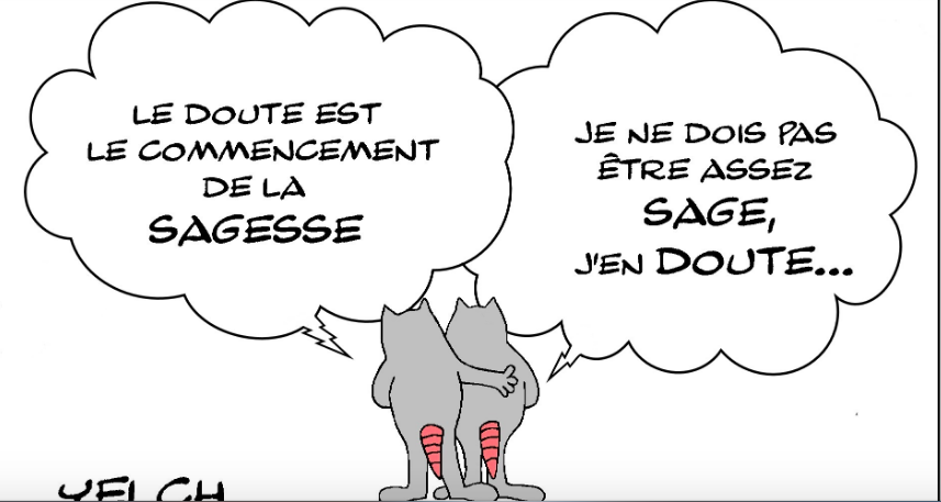 DOUTE ET SAGESSE