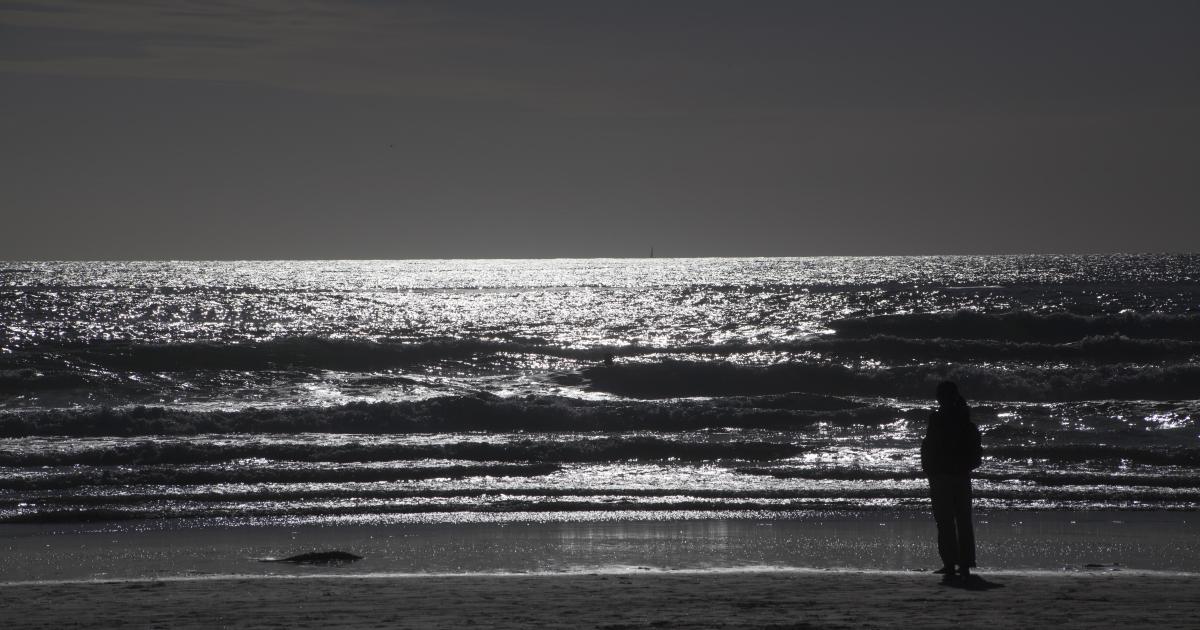 L'humiliation de trop