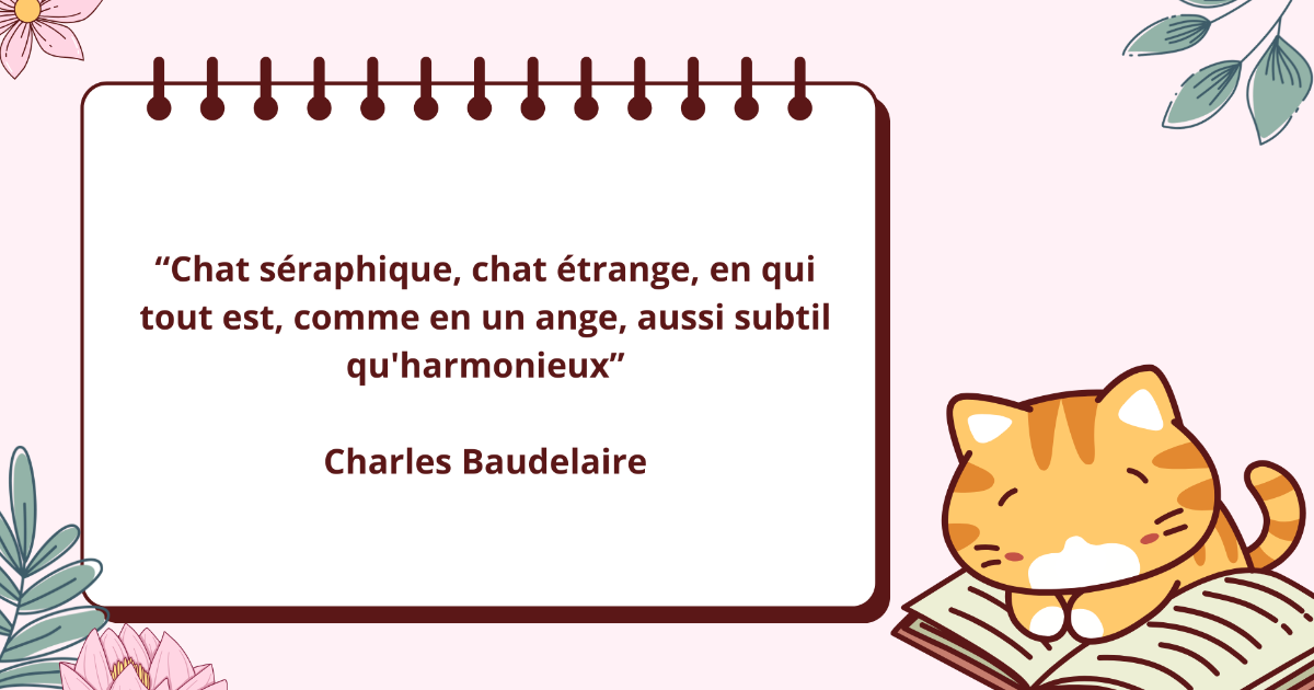 Le chat et l'écrivain