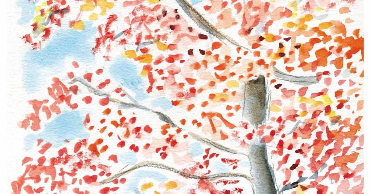 Automne flamboyant