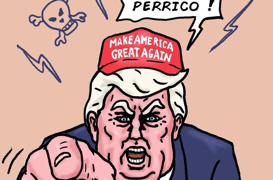 élections de mi-mandat : Trump a perdu son pari !