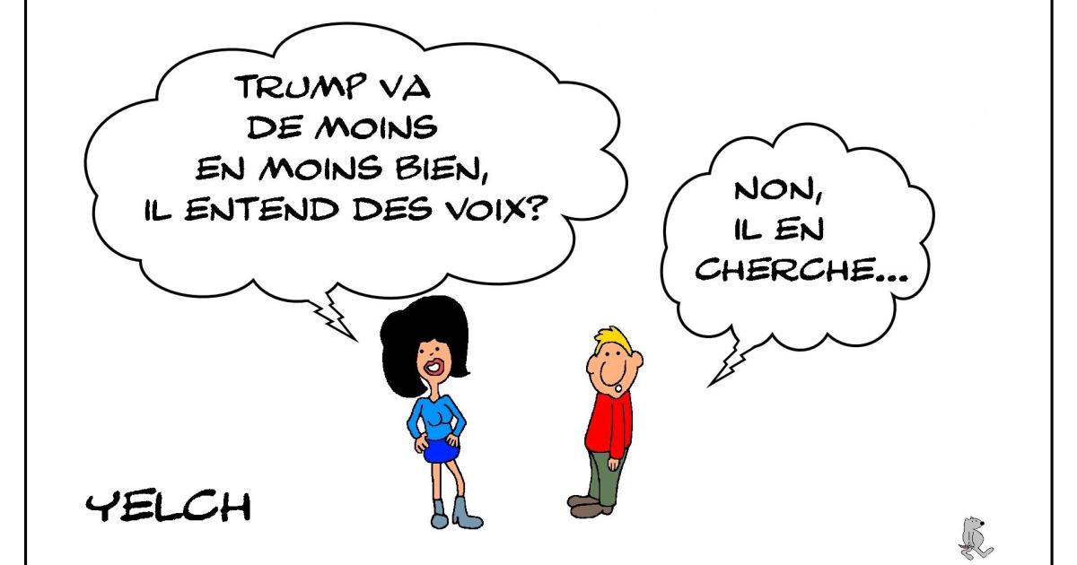 Les voix de Trump