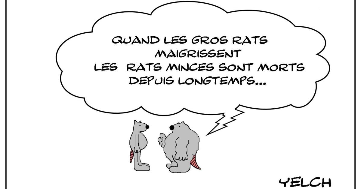 Le rat obèse qui se prenait pour Lao Tseu