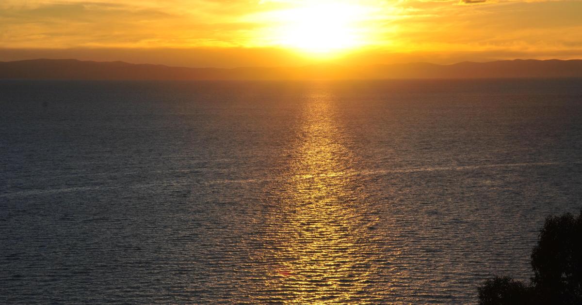 Exactement comme prévuExactement imprévu