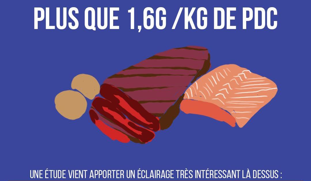 Les protéines : pourquoi il n'en faudrait pas plus que 1,6g/kg de poids de corps