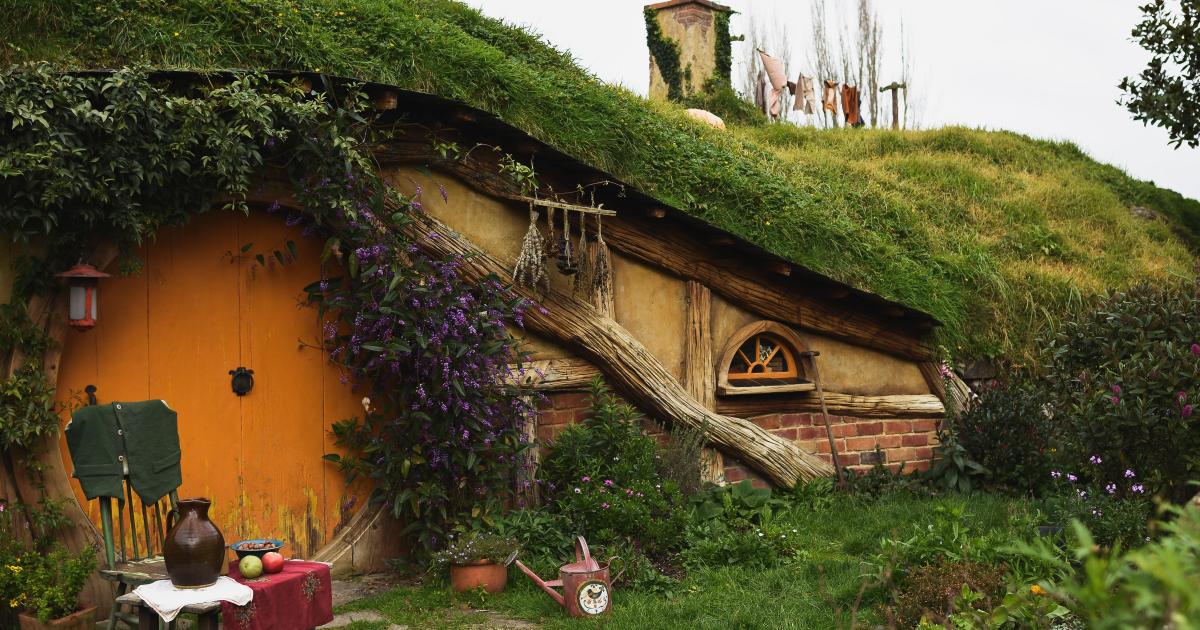 Le Seigneur des Anneaux de J.R.R. Tolkien (tome I)