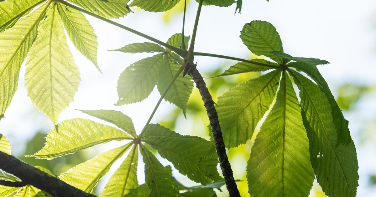 Disparaître pour oublier