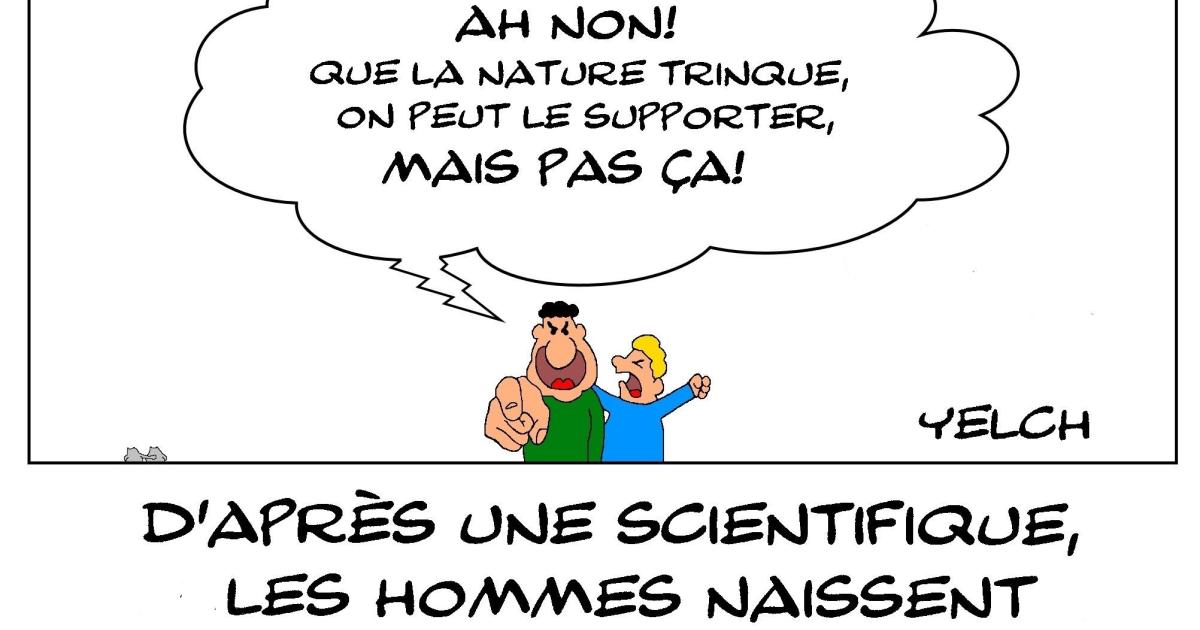Pénis et pollution
