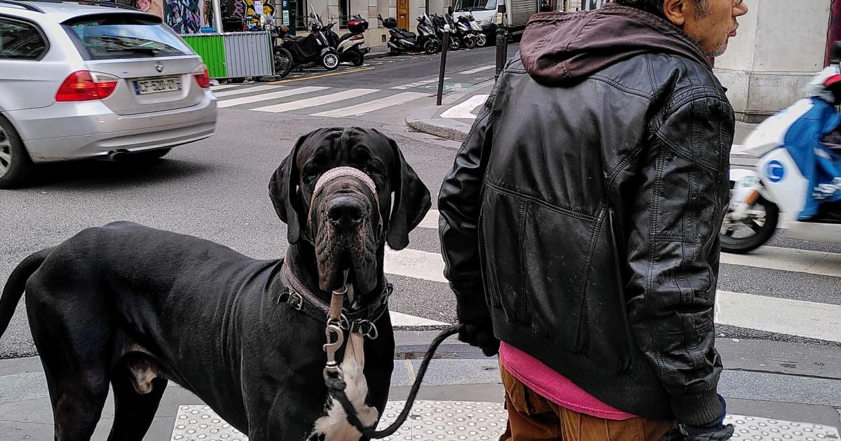 L'homme qui n'était plus seul