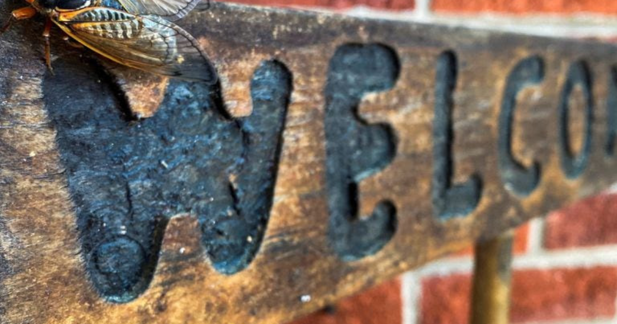 Justice Courts, Putin and Assange...