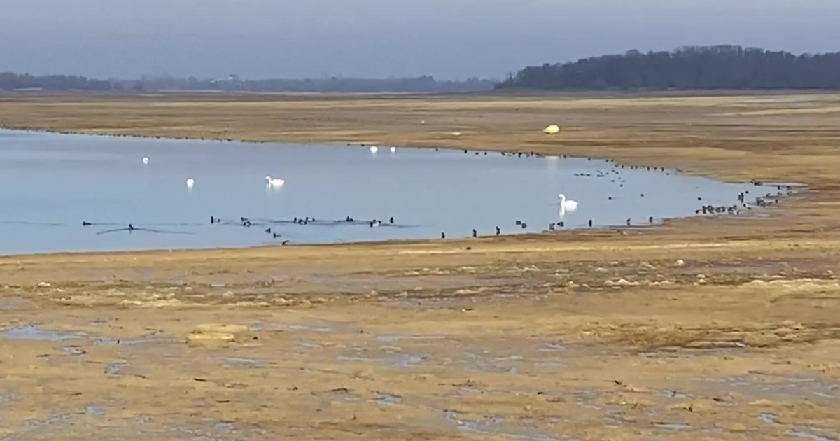 CTW47 - Lac de la forêt d'Orient : janvier 2026