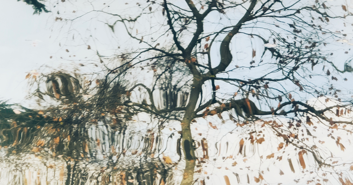 Photo-poème : L'impermanence