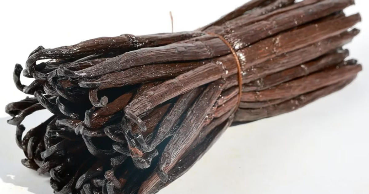 Gousse de Vanille vs Extrait vs Pâte : Le Guide Ultime pour Choisir la Bonne Vanille sous toutes ses Formes