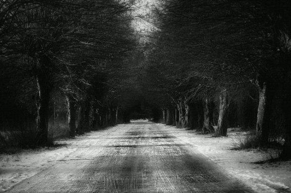 LE TEMPS DE LA DETRESSE