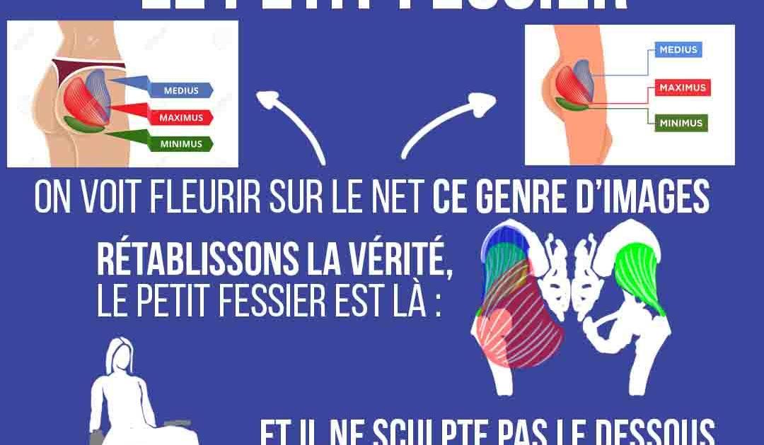 Ces muscles méconnus : Le petit fessier