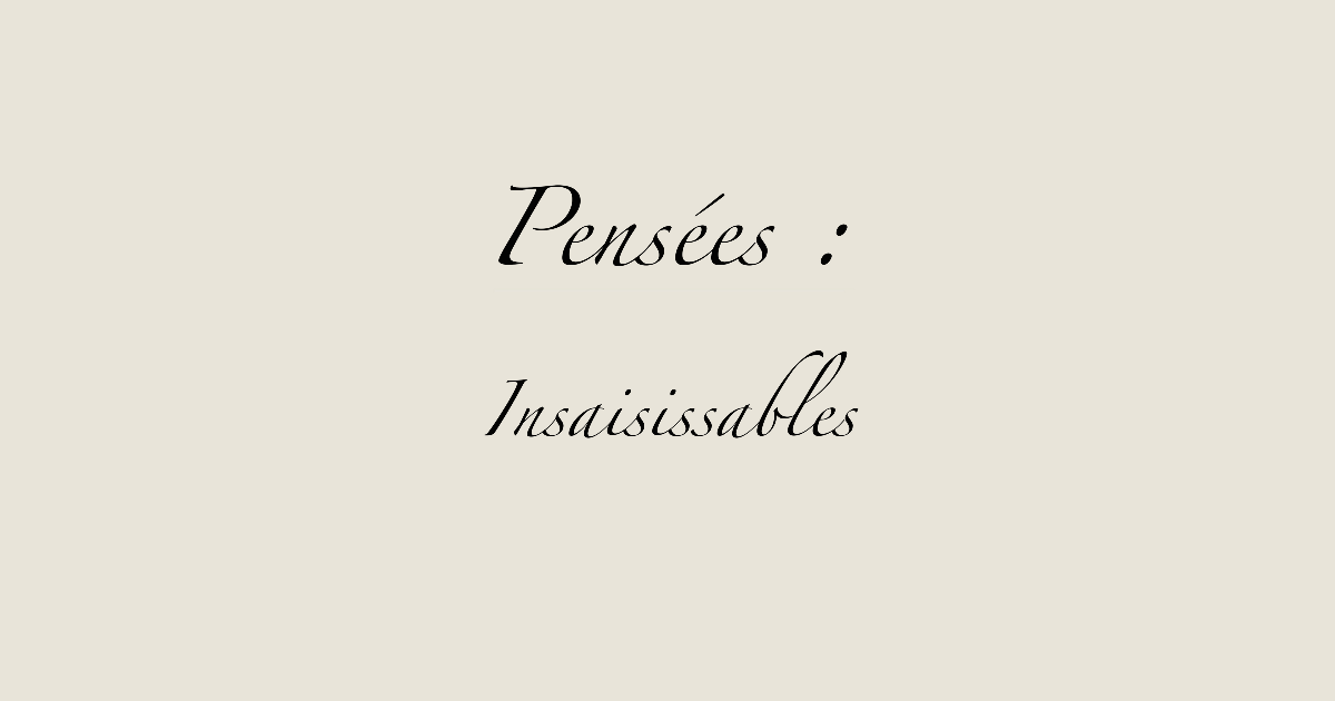 Insaisissables