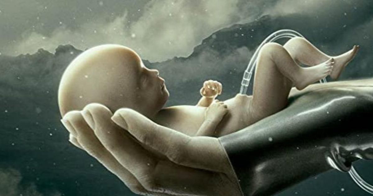 Raised by Wolves - Saison 1