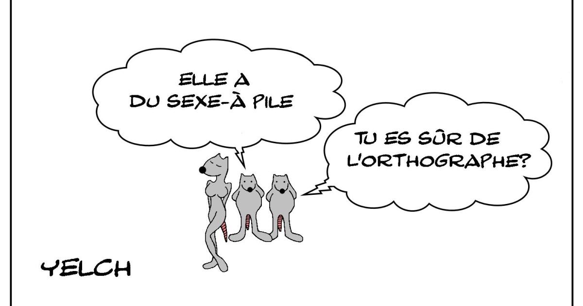 Le rat et le sex-appeal