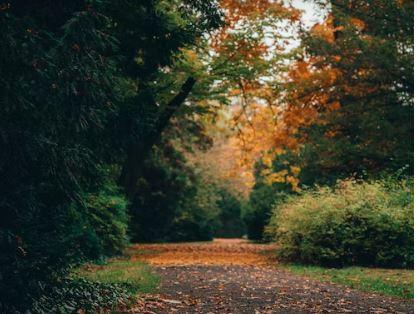 Dans ma vie antérieure 1