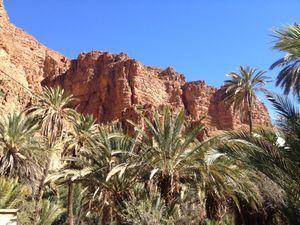 L'Eden...et Tafraoute