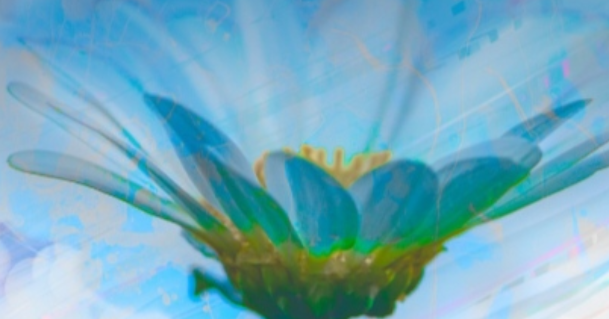 Ma nouvelle philosophie sur mes échecs